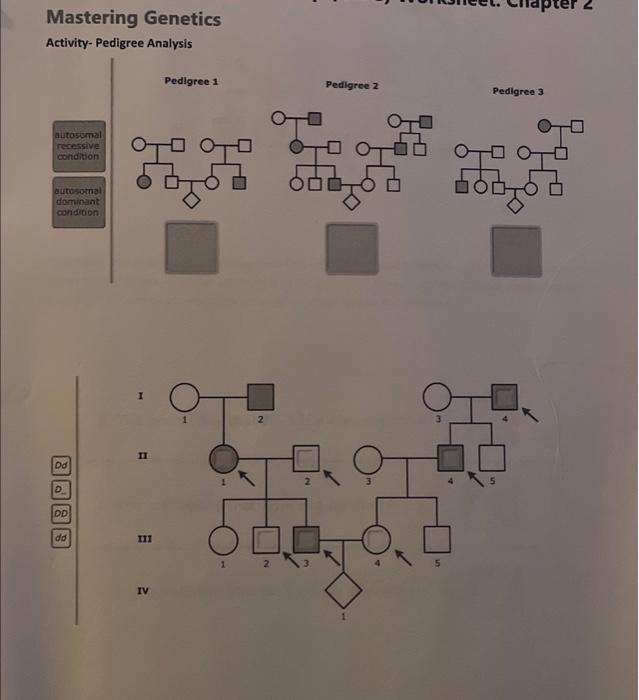 Solved Mastering Genetics Activity- Pedigree Analysis | Chegg.com