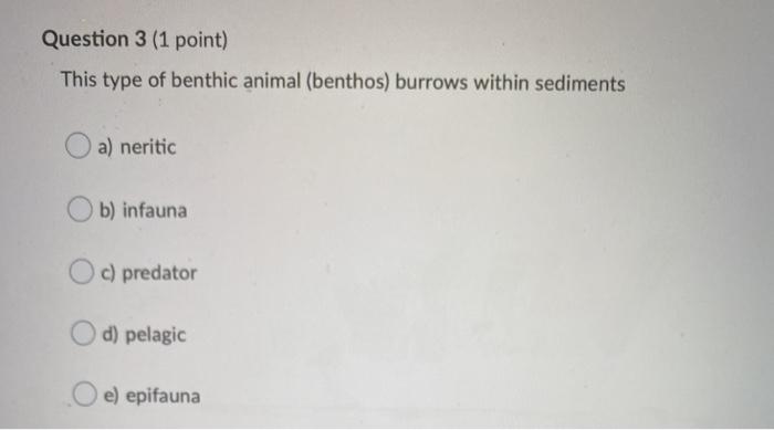 Solved Question 3 (1 point) This type of benthic animal | Chegg.com