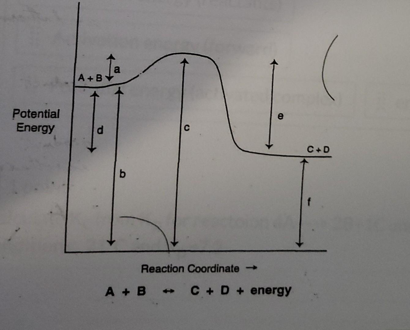 Solved Lable The Potential Energy A+B D B Reaction | Chegg.com