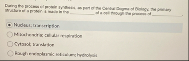 Solved During the process of protein synthesis, as part of | Chegg.com