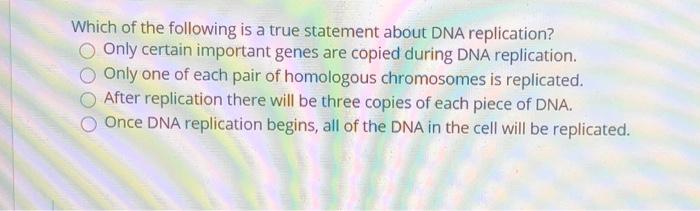 Solved Which of the following is a true statement about DNA | Chegg.com