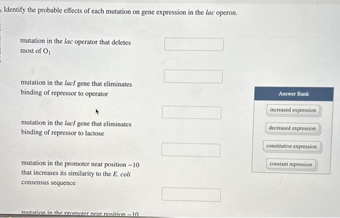 Solved Identify the probable effects of each mutation on | Chegg.com