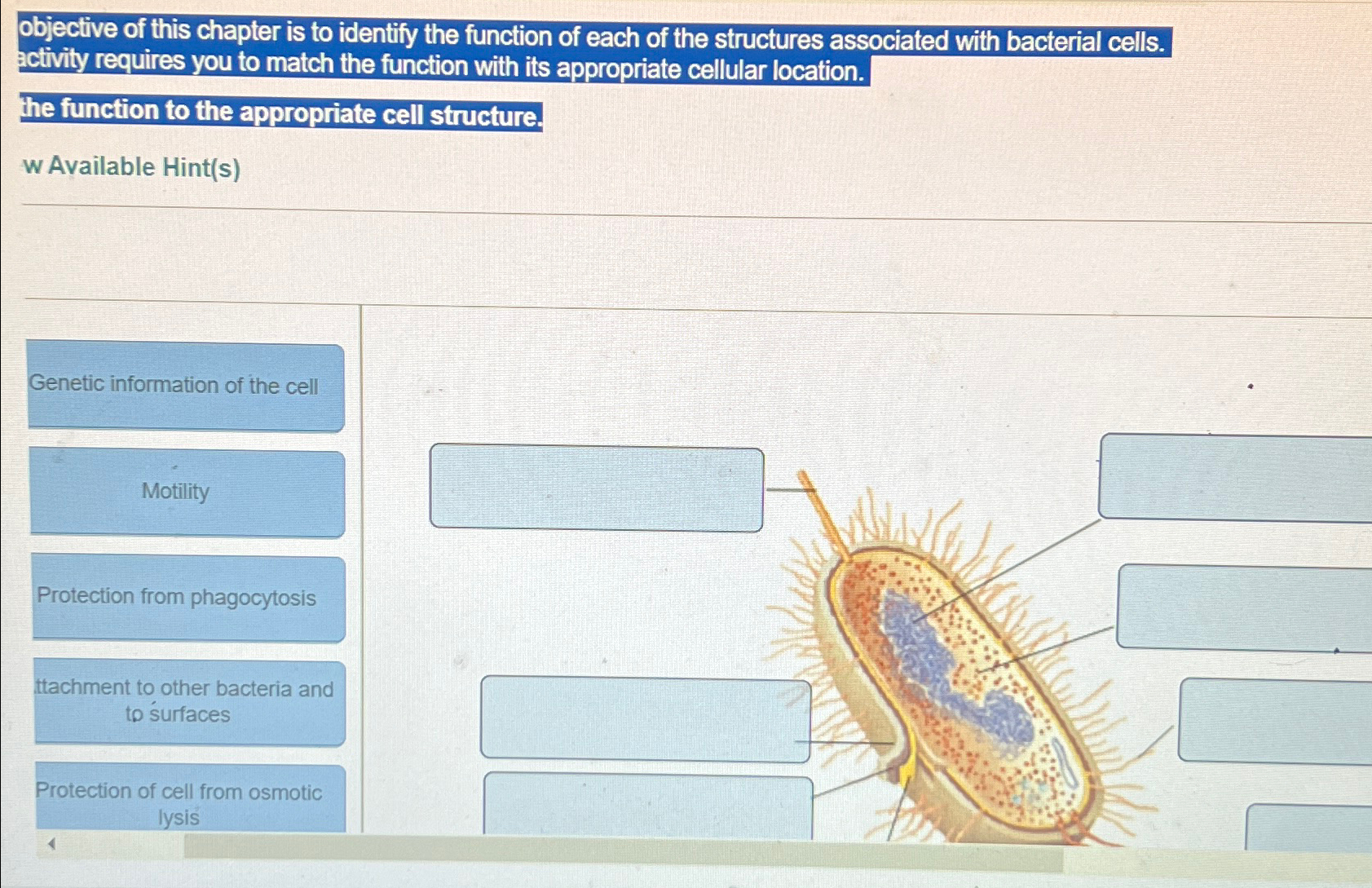 Solved objective of this chapter is to identify the function | Chegg.com