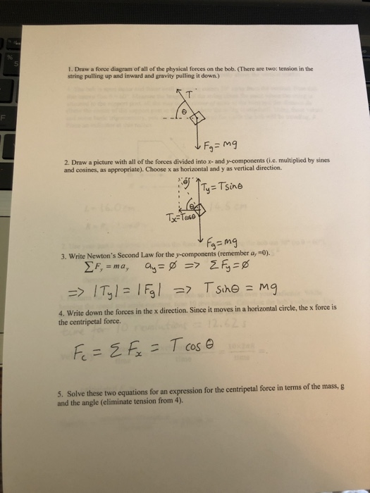 Solved This Is The Whole Lab Packet My Professor Gave Us Chegg Com