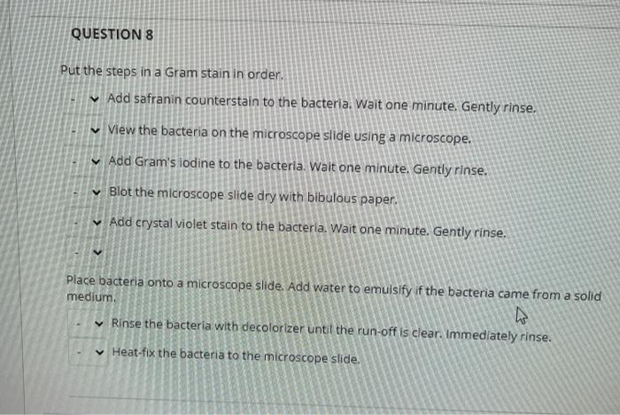 Solved QUESTION 8 Put the steps in a Gram stain in order v | Chegg.com