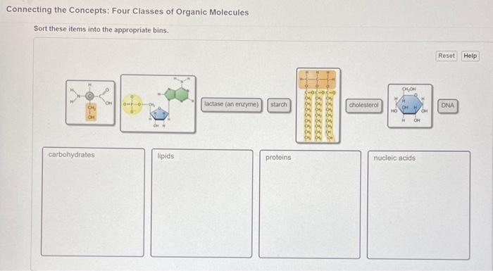 Solved Connecting The Concepts: Four Classes Of Organic | Chegg.com