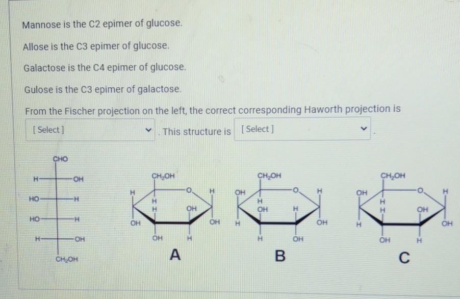 Solved Which of the following best describes the | Chegg.com