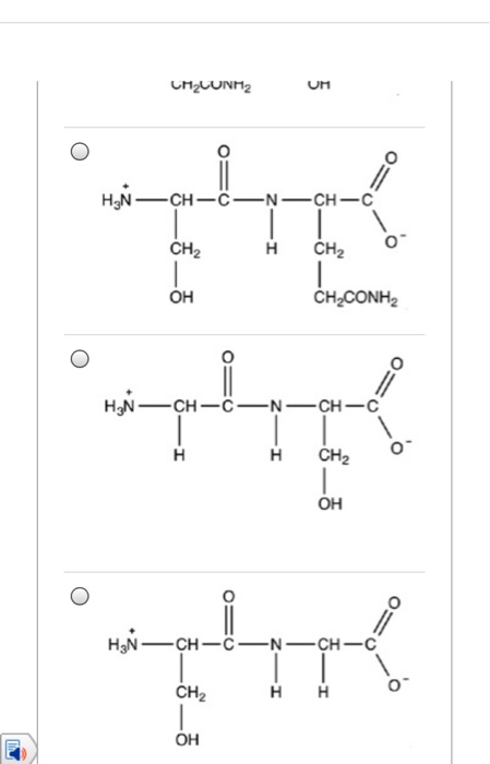 Solved What is the N-terminal amino acid in the tetrapeptide | Chegg.com