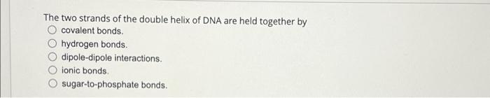 Solved The two strands of the double helix of DNA are held | Chegg.com