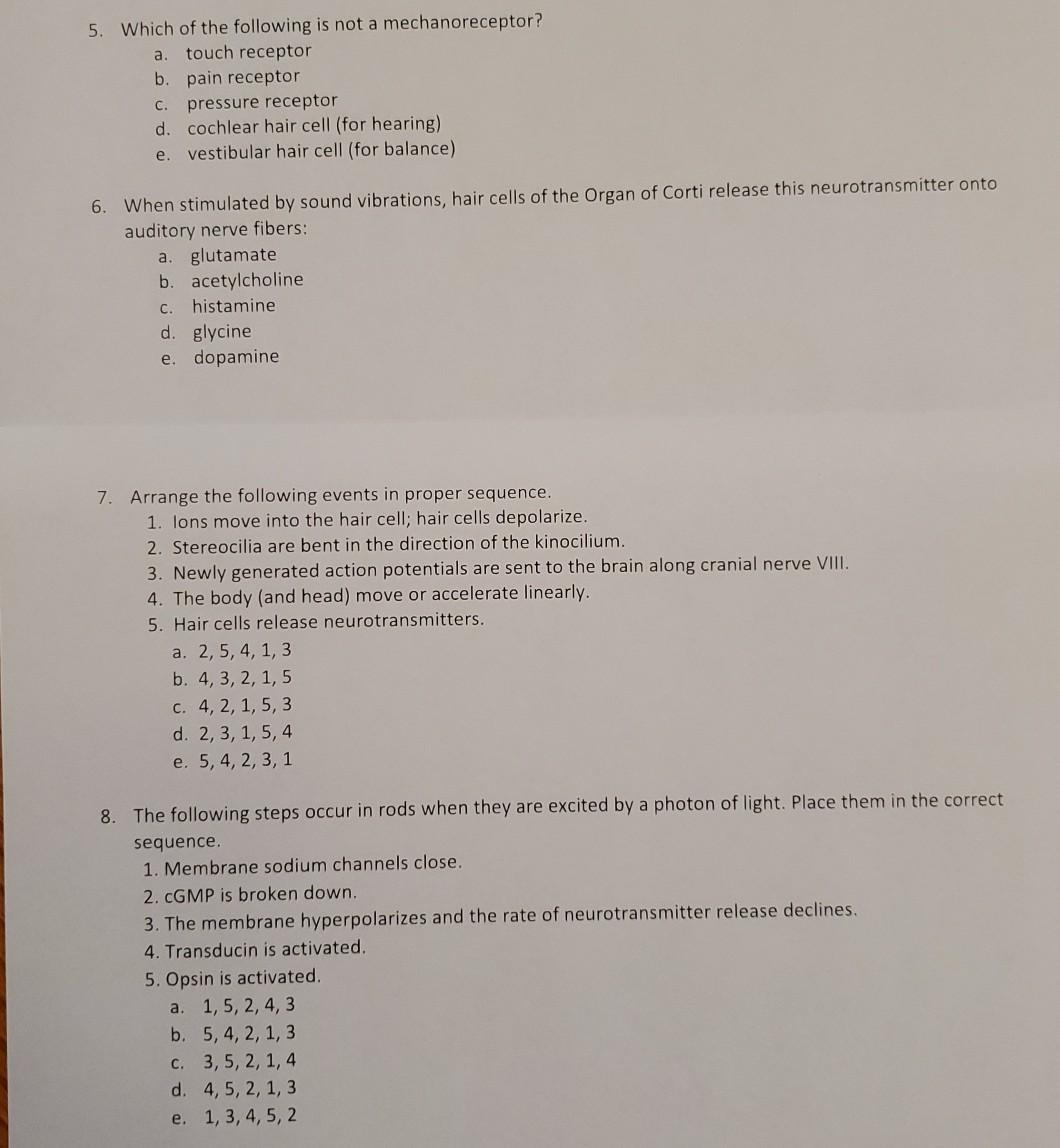 Solved 5. Which of the following is not a mechanoreceptor? | Chegg.com