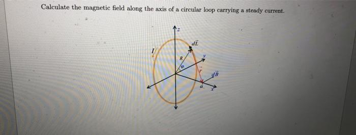 Solved Calculate the magnetic field along the axis of a | Chegg.com