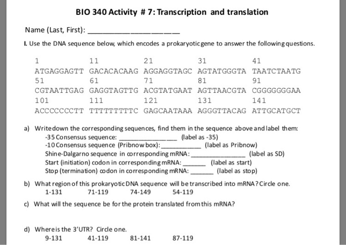 Solved BIO 340 Activity # 7: Transcription and translation | Chegg.com