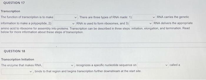Solved QUESTION 17 Transcription The function of | Chegg.com