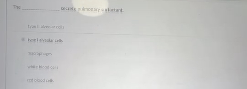type ii alveolar cells secrete surfactant