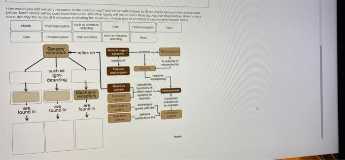 Solved Required information Review the chapter 24 Survey the | Chegg.com