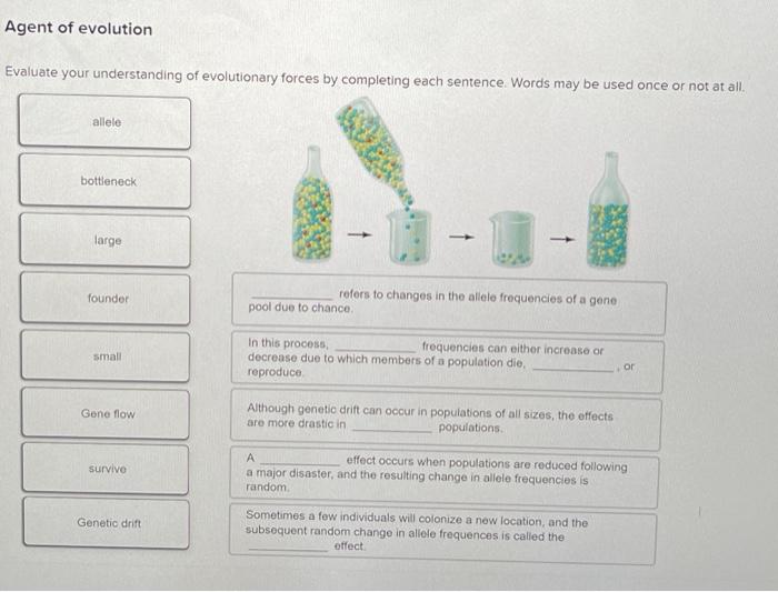 Solved Agent of evolution Evaluate your understanding of | Chegg.com