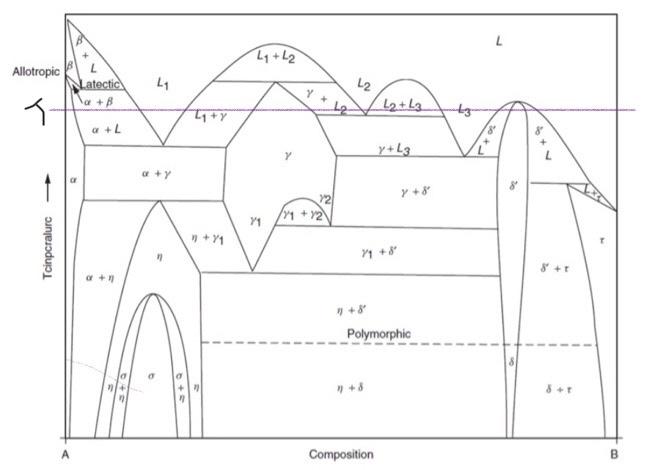 Free energy transitions homework answers 08 picture