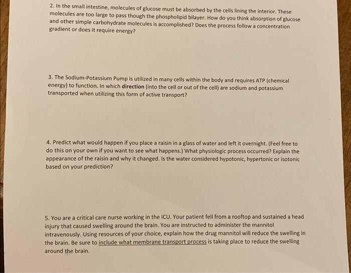 2. In the small intestine, molecules of glucose must be absorbed by the cells lining the interior. These molecules are too la