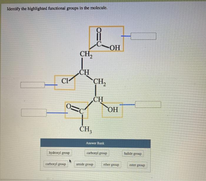 Solved Identify the highlighted functional groups in the | Chegg.com
