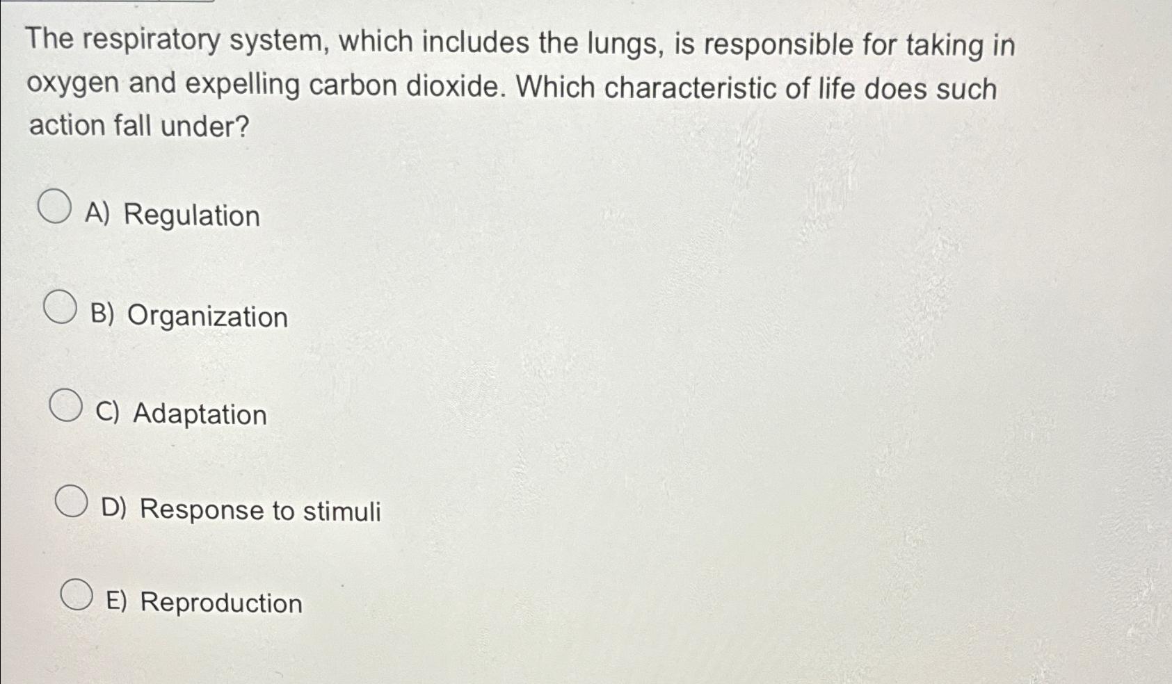 The respiratory system, which includes the lungs, is | Chegg.com