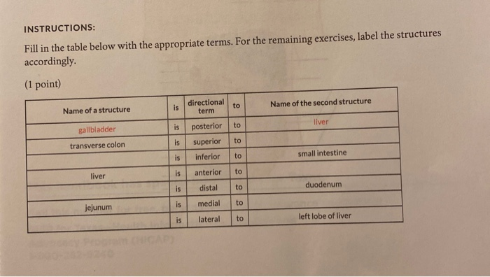 Solved INSTRUCTIONS: Fill in the table below with the | Chegg.com