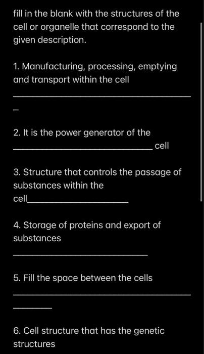 fill in the blank with the structures of the cell or | Chegg.com