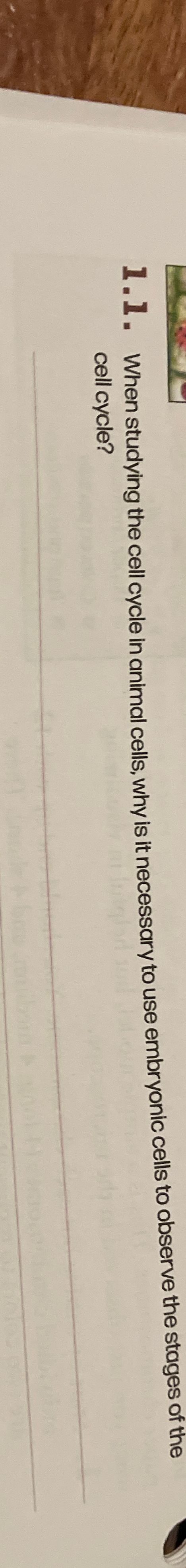 Solved 1.1. ﻿When studying the cell cycle in animal cells, | Chegg.com