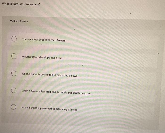 What is floral determination? Multiple Choice When a