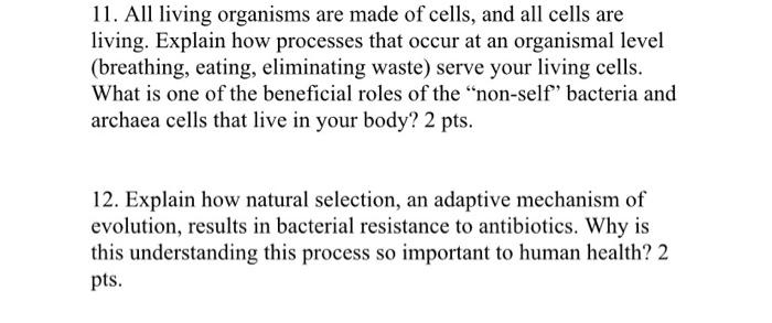 are living organisms made out of cells