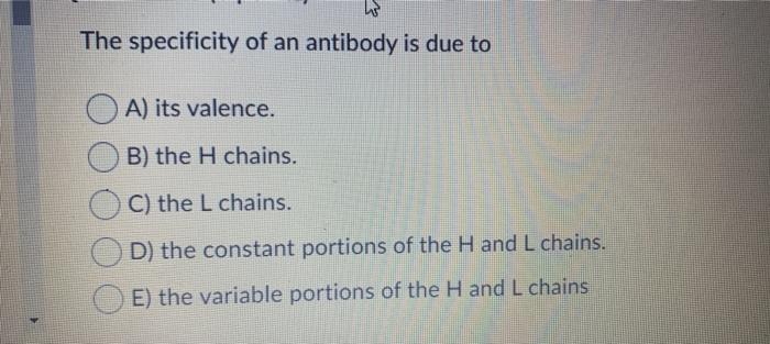 w The specificity of an antibody is due to A) its valence. B) the H chains. C) the L chains. D) the constant portions of the