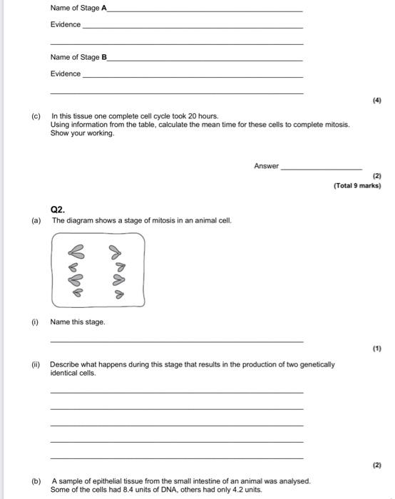 Solved Q1. (a) Mitosis is important in the life of an | Chegg.com