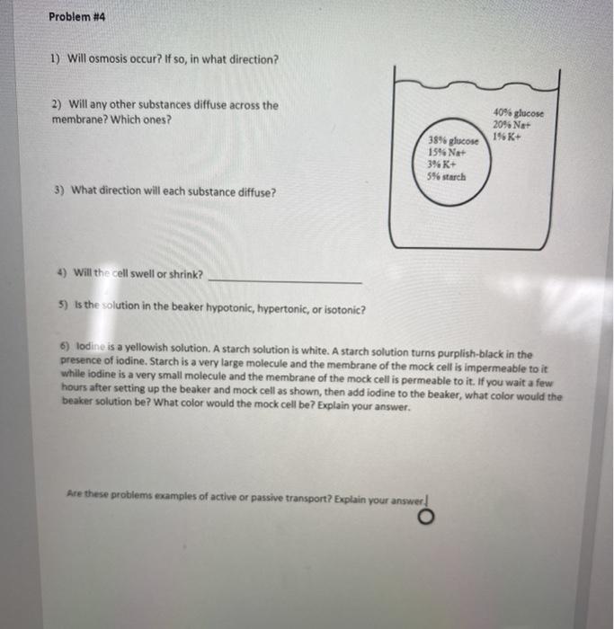 Solved Problem #4 1) Will osmosis occur? If so, in what | Chegg.com