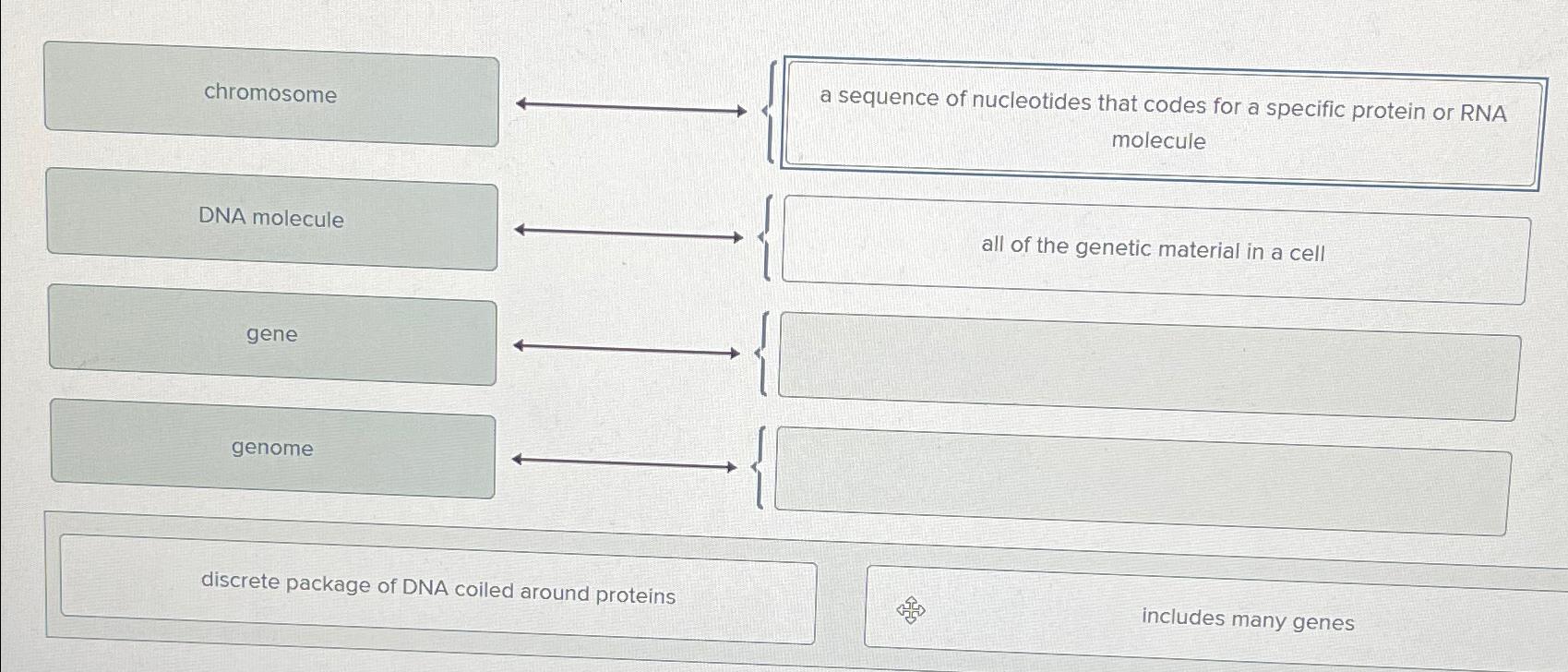 Solved a sequence of nucleotides that codes for a specific | Chegg.com