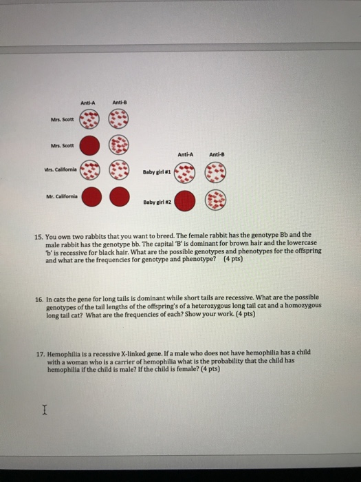 solved-9-what-type-is-the-universal-donor-and-why-what-chegg