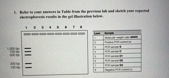 1. Refer to your answers in Table from the previous | Chegg.com