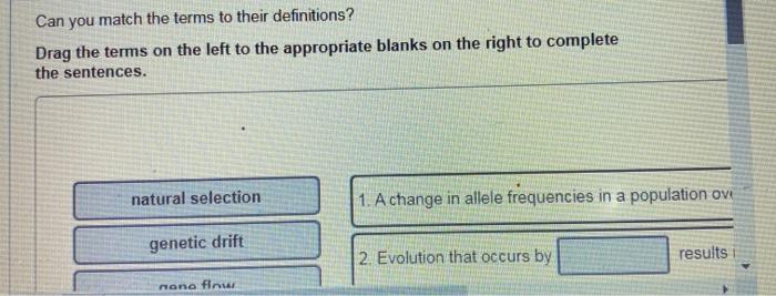 solved-can-you-match-the-terms-to-their-definitions-drag-chegg