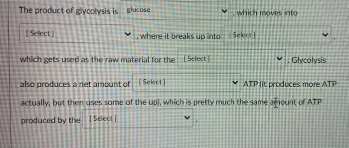 Solved The Product Of Glycolysis Is Glucose Which Moves Into | Chegg.com