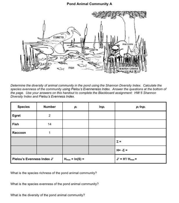 Solved Pond Animal Community B Determine the diversity of | Chegg.com