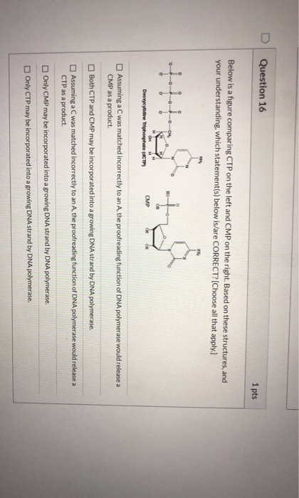 CTP PDF | Maxtic
