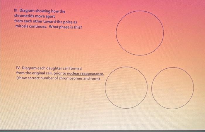 Solved Each circle below represents the plasma membrane of a | Chegg.com