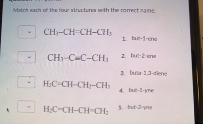 Solved Match Each Of The Four Structures With The Correct | Chegg.com