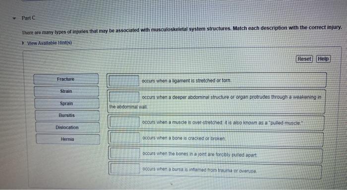 Solved Part C There are many types of injuries that may be | Chegg.com