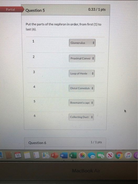Solved Partial Question 5 0.33/1 pts Put the parts of the | Chegg.com