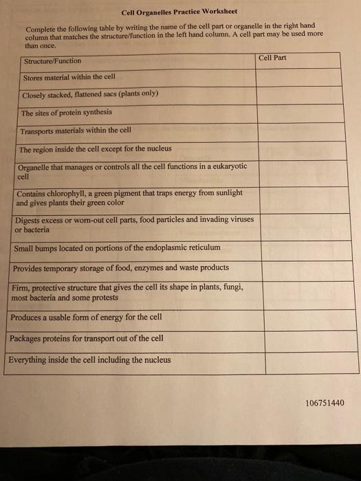 solved cell organelles practice worksheet complete the chegg com