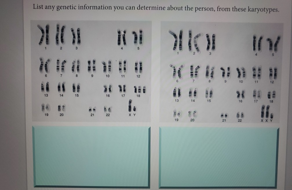 Solved Lab 7 Mitosis and Meiosis 1. 2. 3. 4. Compare and
