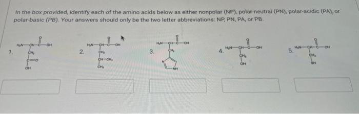 Solved In the box provided, identify each of the amino acids | Chegg.com