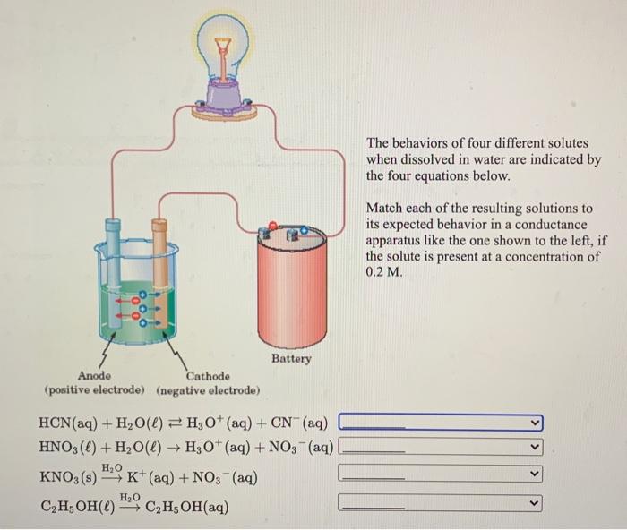 Solved The behaviors of four different solutes when | Chegg.com