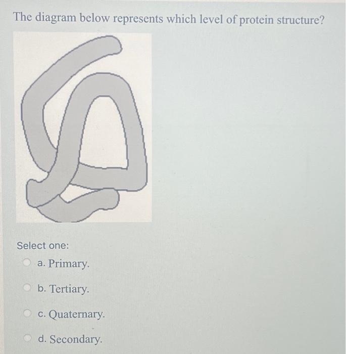 Solved The diagram below represents which level of protein | Chegg.com