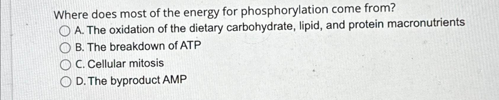 Solved Where does most of the energy for phosphorylation | Chegg.com