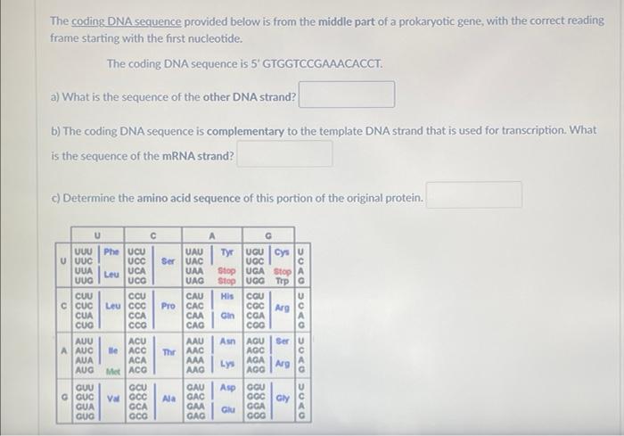 Solved The coding DNA sequence provided below is from the | Chegg.com